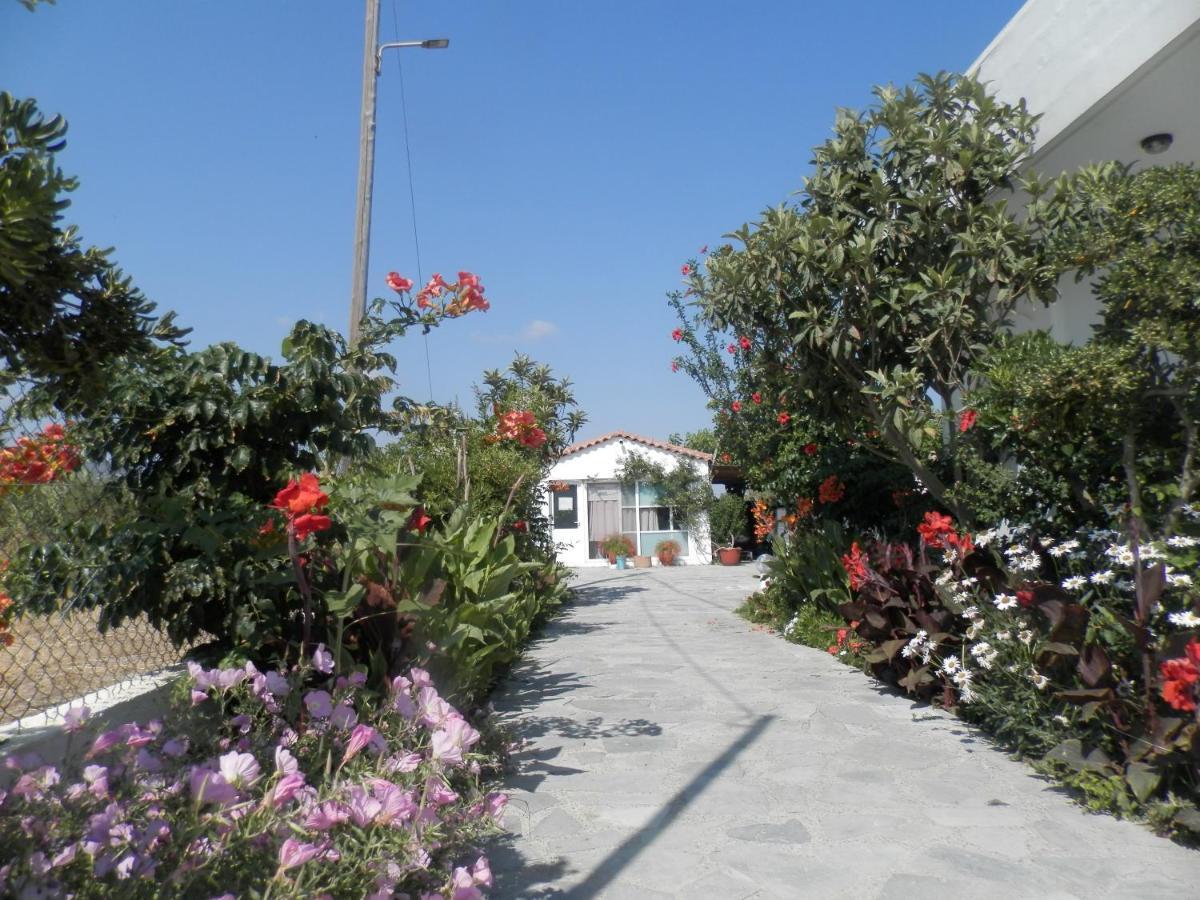Silvi Mari Apartments Platanész Kültér fotó