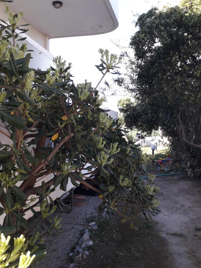 Silvi Mari Apartments Platanész Kültér fotó